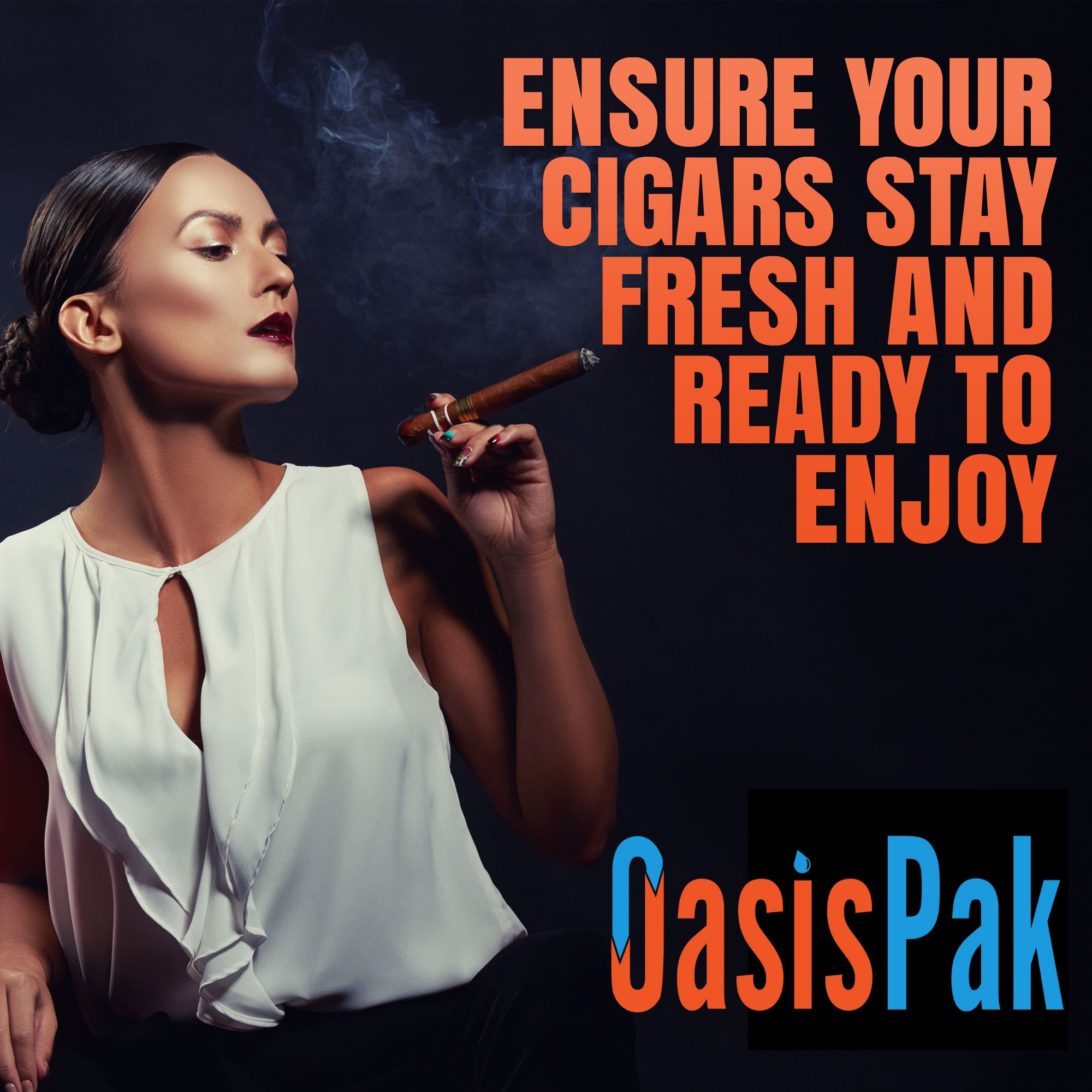 cigar-oasis-oasis-pak-humidor-befeuchtung-67g-65-einzeln image 2
